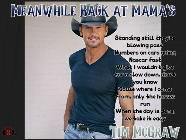 Meanwhile Back at Mama’s by Tim McGraw