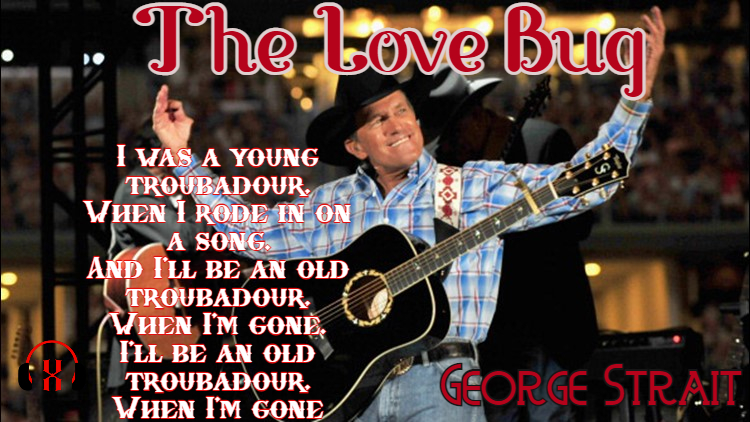 The Love Bug by George Strait